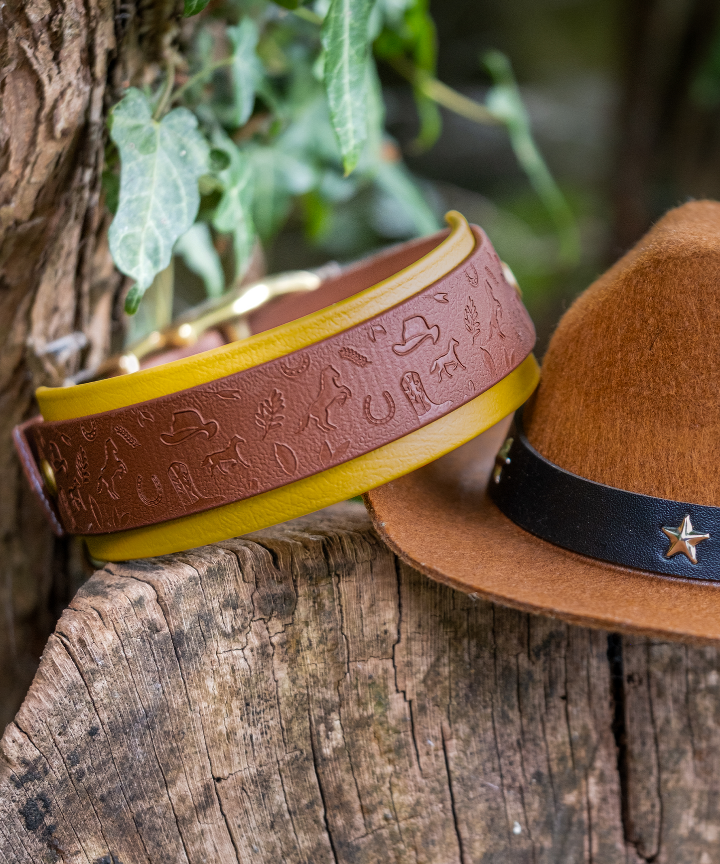 Howdy Pawtner - Embossed Hound Collar