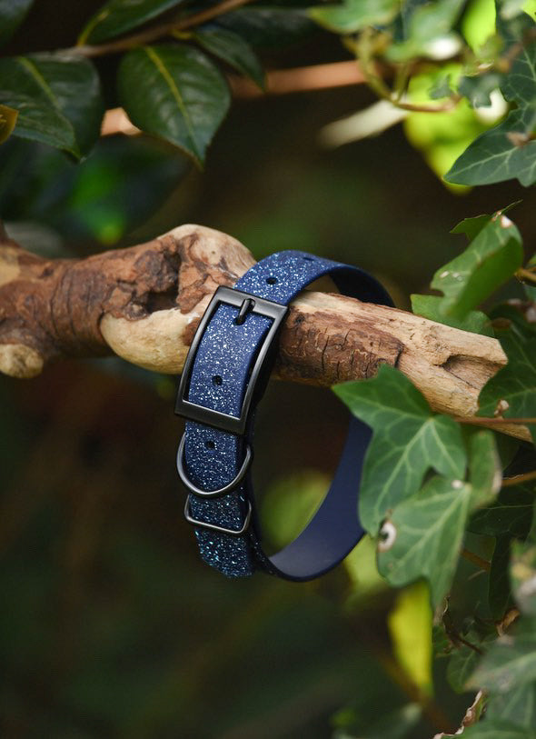 Ocean Glass - SS Explorer Collar