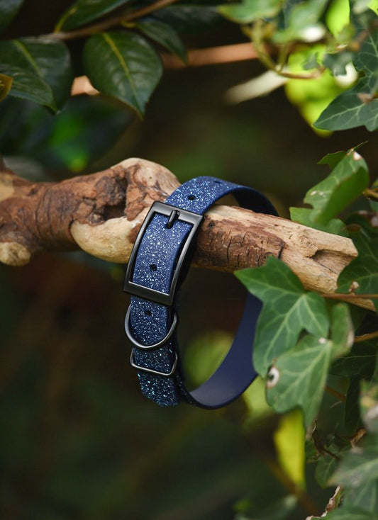 Ocean Glass - SS Explorer Collar