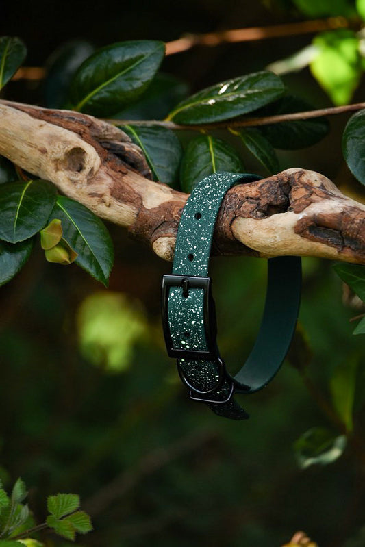 Evergreen Grove - SS Explorer Collar
