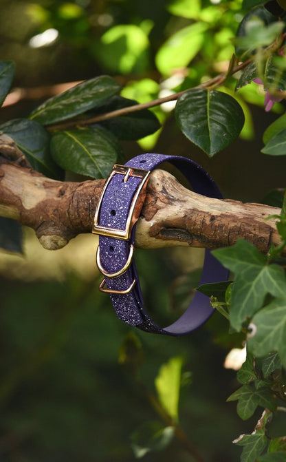 Wisteria - SS Explorer Collar