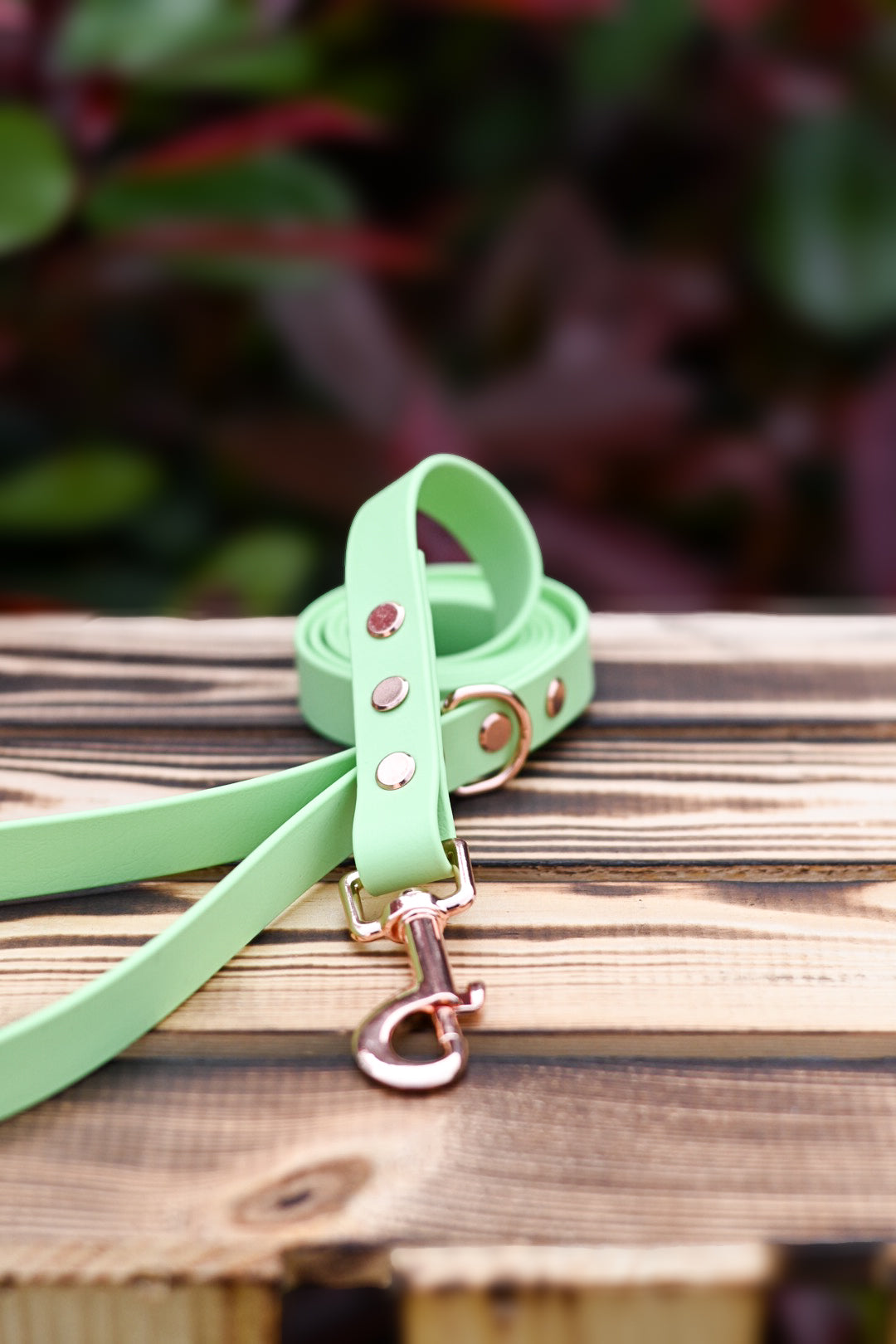 Spring Fields - Biothane Dog Collar (Waterproof)