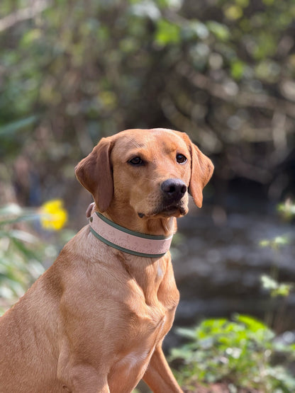 Wild Hare (Moss) - Embossed Hound Collar