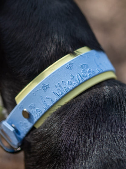 Detailed view of bee themed dog collar with yellow backing on black dog