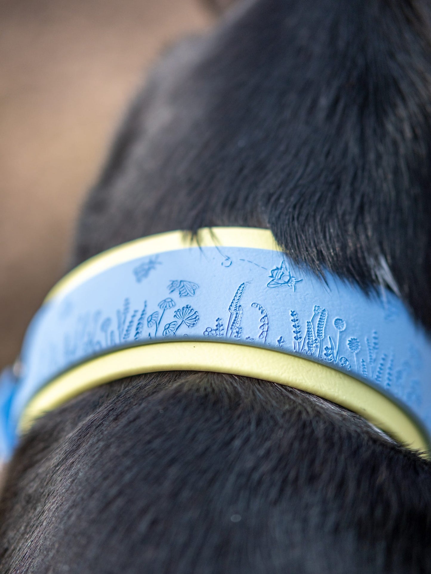 Close up of embossed bee and wildflower pattern on blue dog collar