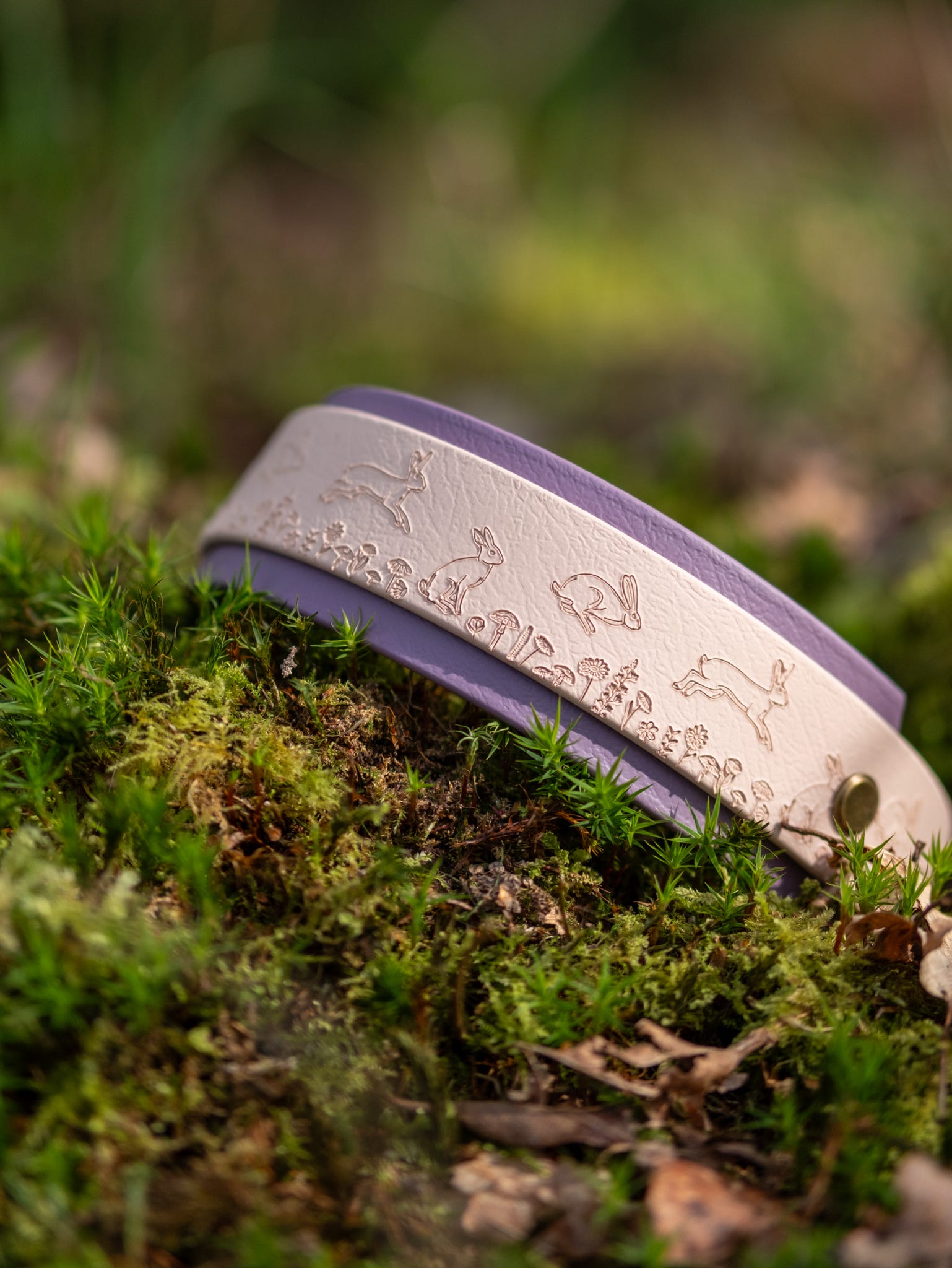 Champagne and mauve hound dog collar with hare and mushroom embossing displayed on forest floor