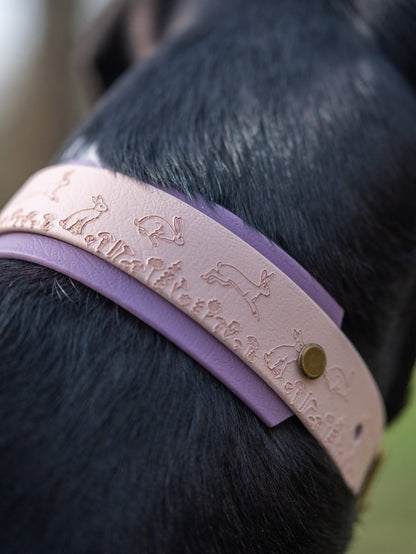 Rear view of dog wearing mauve backed Wild Hare hound collar in woodland setting