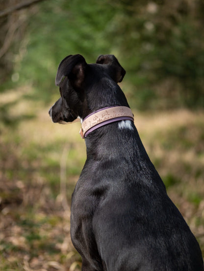 Side profile of sighthound wearing countryside inspired hare dog collar outdoors