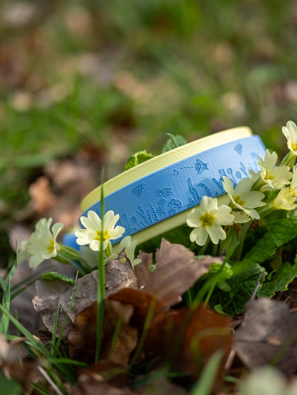 Embossed bee and floral dog collar resting in spring flowers outdoors