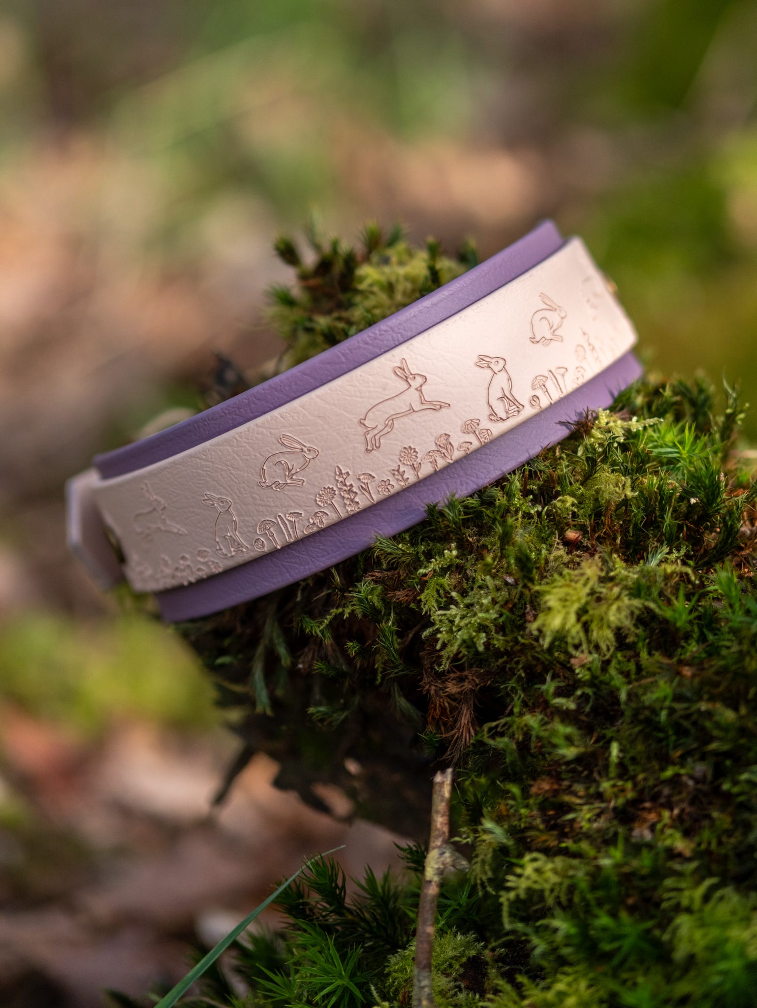 Wild Hare dog collar displayed on mossy woodland log