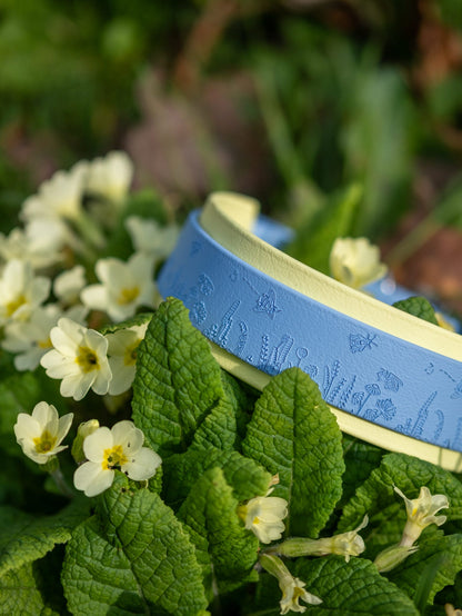 Close up of pastel blue bee themed dog collar with yellow backing and silver hardware
