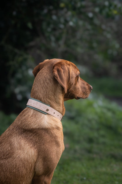 Wild Hare (Moss) - Embossed Hound Collar