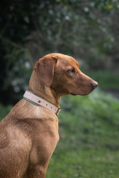 Wild Hare (Moss) - Embossed Hound Collar