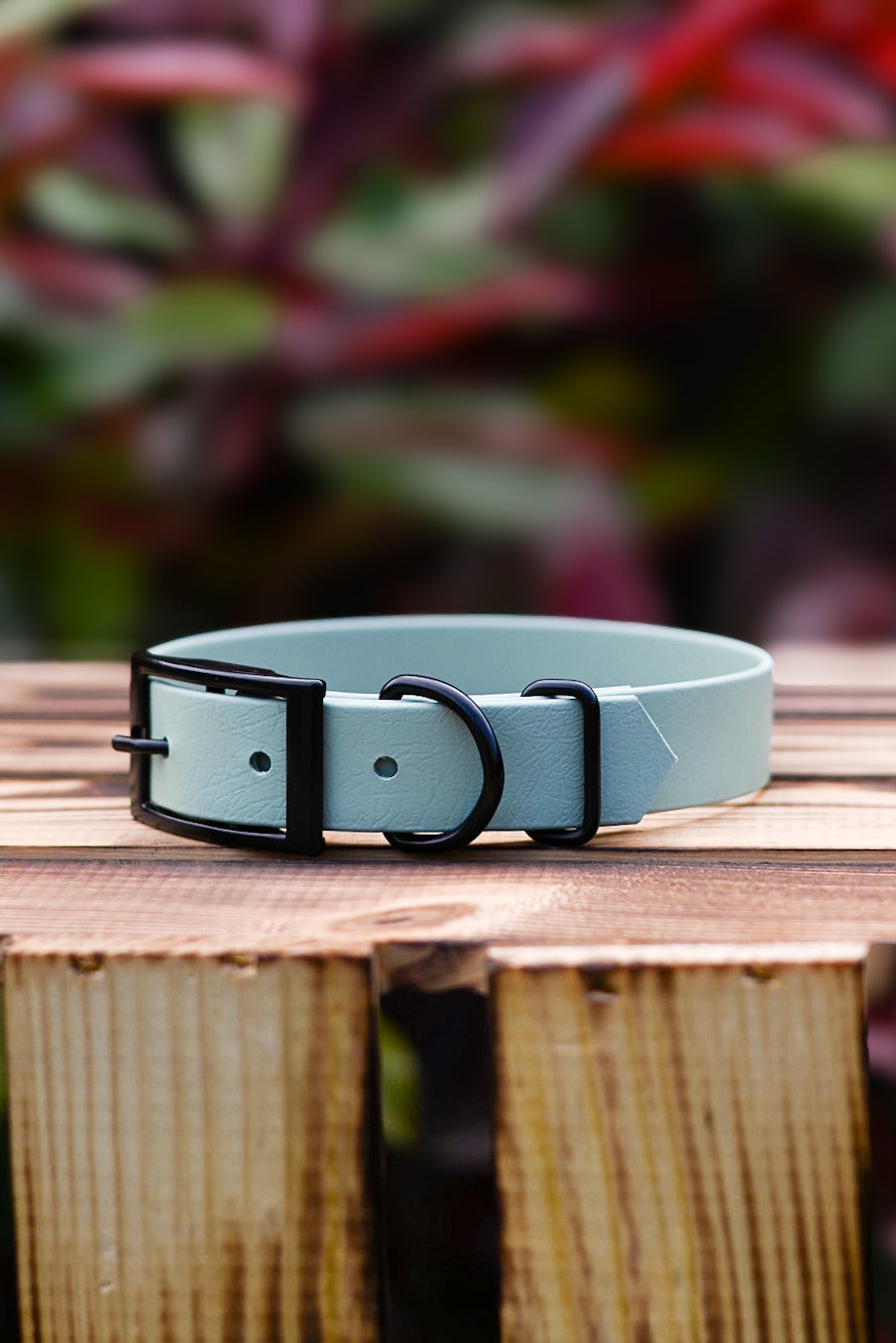 Sage - Explorer Dog Collar