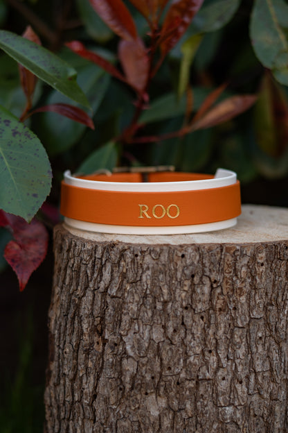 Personalised Hound Collars