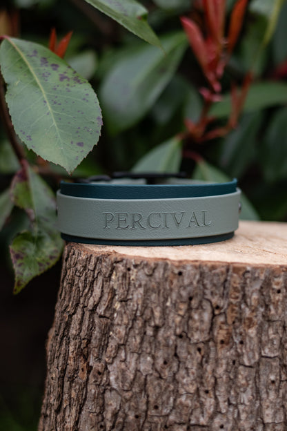 Personalised Hound Collars