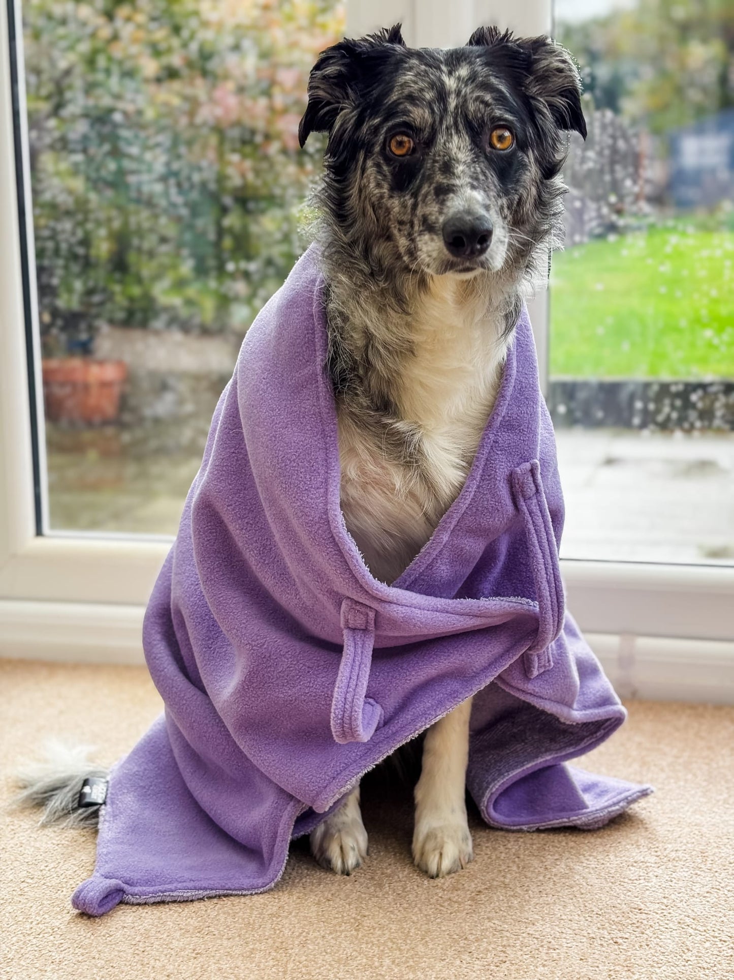 Lilac Luxury Dog Towel
