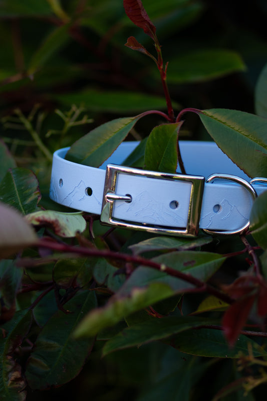 Down to Earth - Embossed Explorer Collar (Limited Edition)