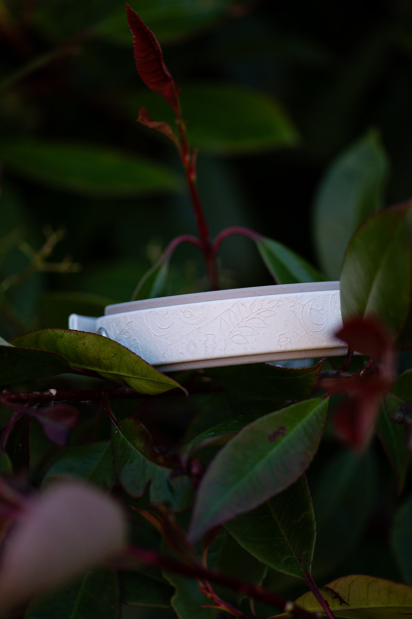 Spellbound - Embossed Hound Collar (Limited Edition)