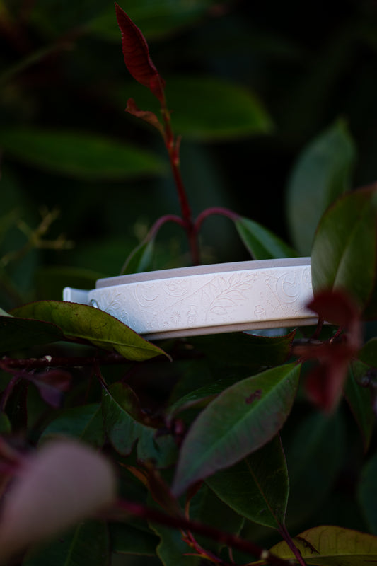 Spellbound - Embossed Hound Collar (Limited Edition)