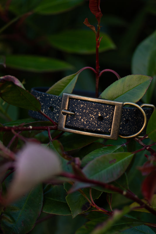 Starfall - SS Explorer Collar