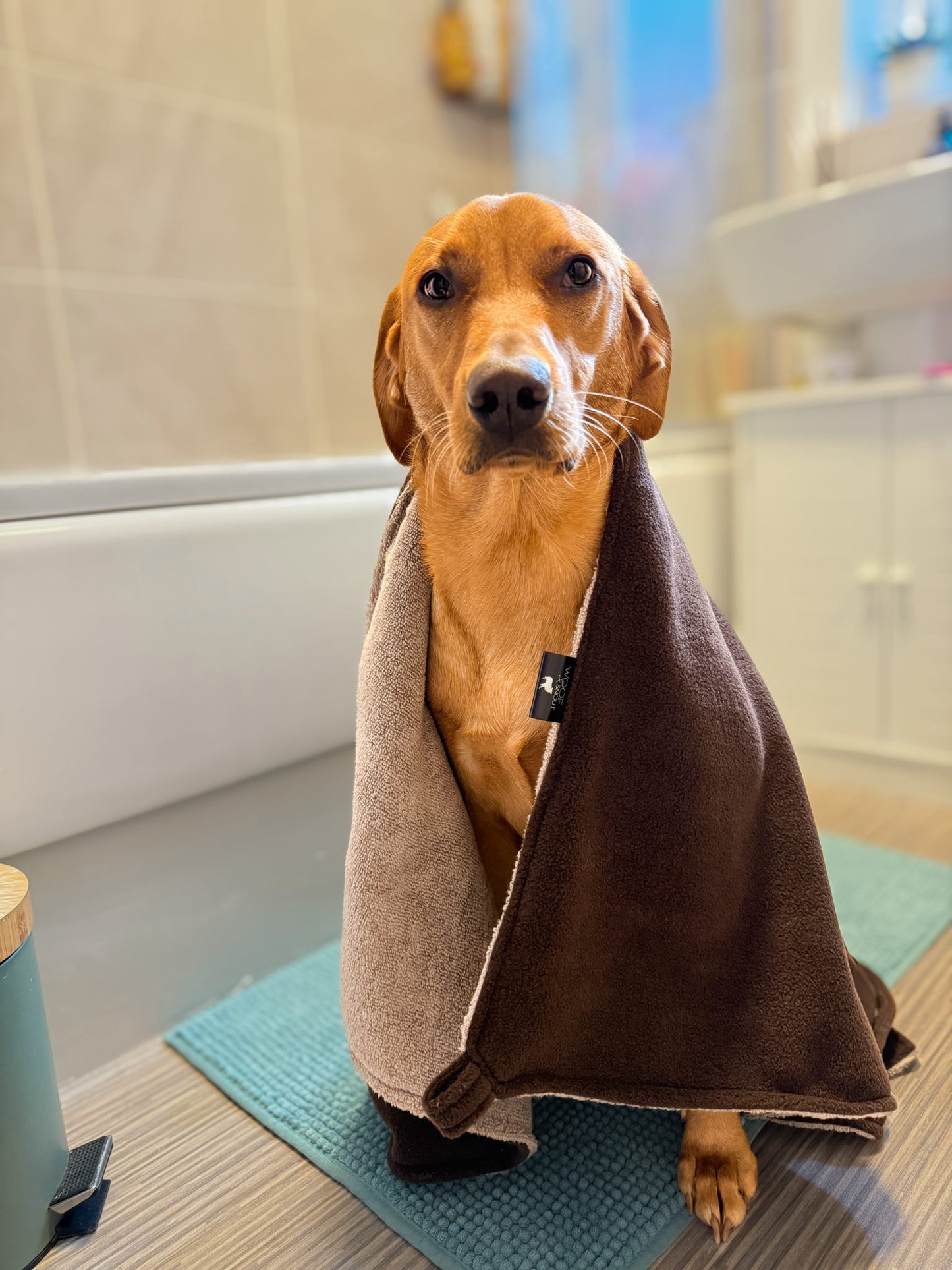Mocha Luxury Dog Towel