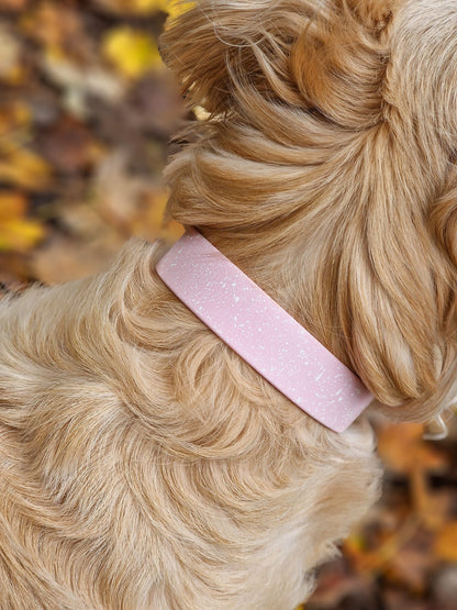 Peony - SS Explorer Collar