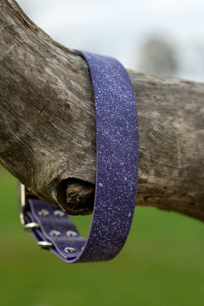 Wisteria - SS Explorer Collar