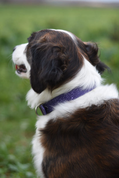 Wisteria - SS Explorer Collar