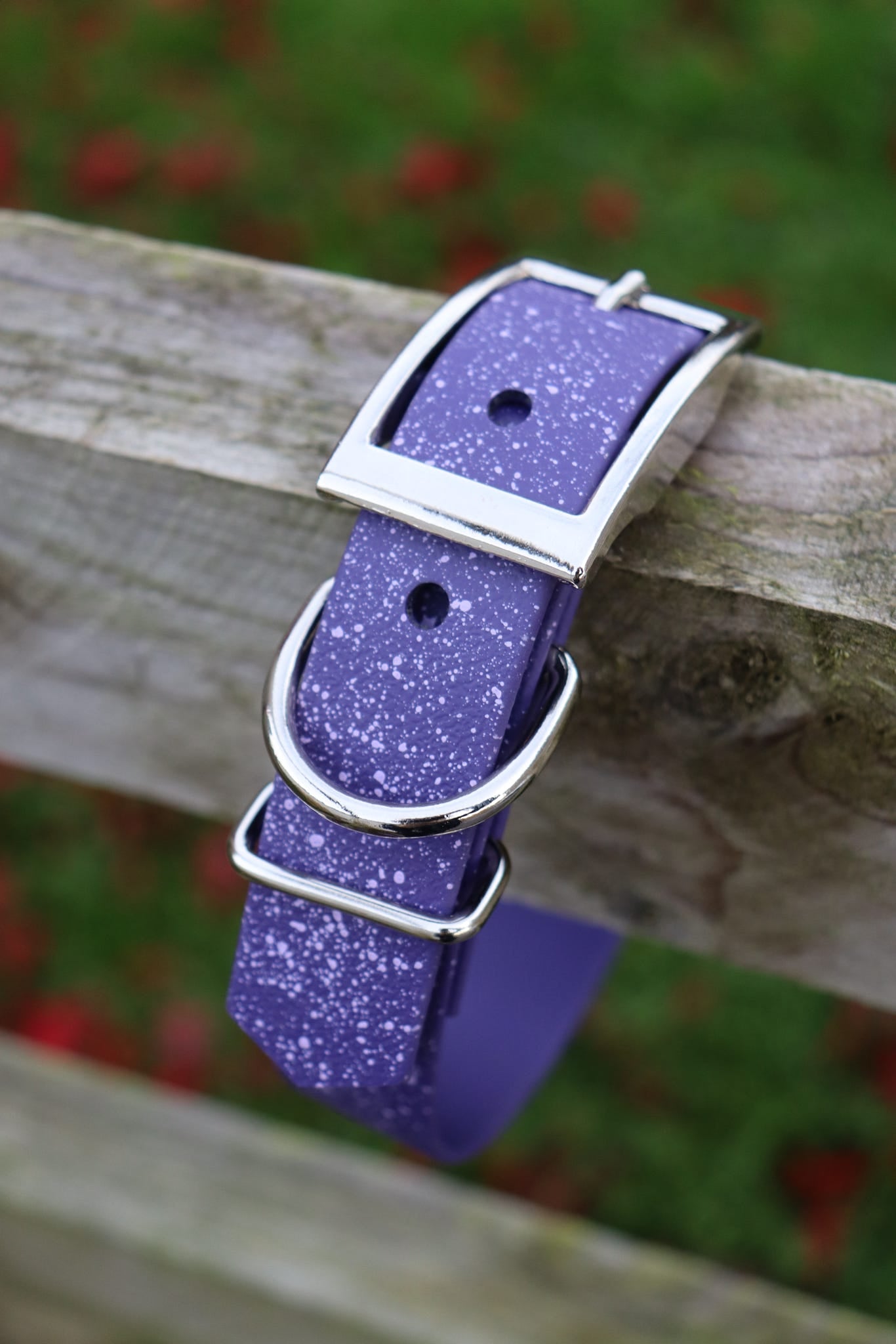 Wisteria - SS Explorer Collar