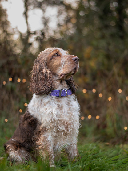 Wisteria - SS Explorer Collar