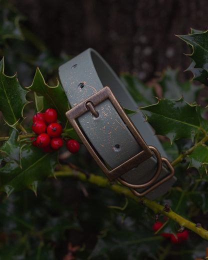 Bracken - SS Explorer Collar