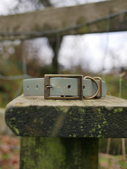 Bracken - SS Explorer Collar