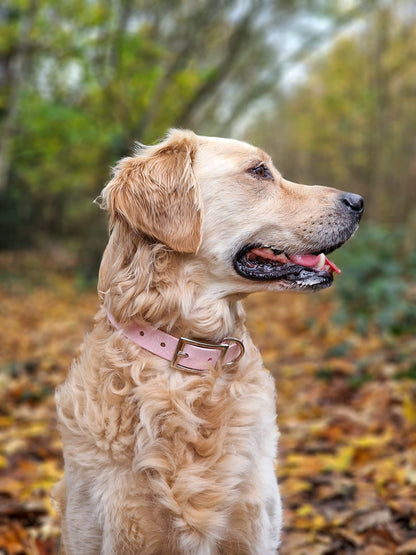 Peony - SS Explorer Collar