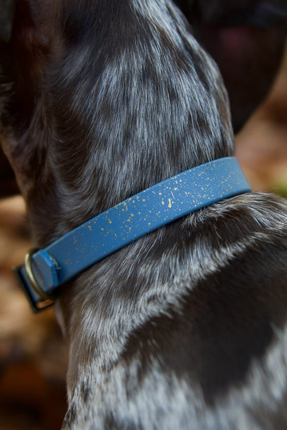 Golden Slate - SS Explorer Collar