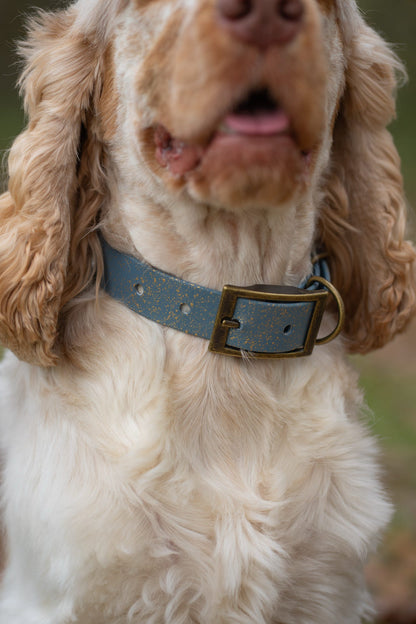 Golden Slate - SS Explorer Collar