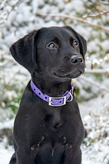 Wisteria - SS Explorer Collar