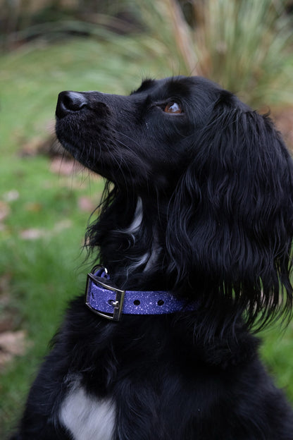 Wisteria - SS Explorer Collar