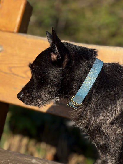 Golden Slate - SS Explorer Collar