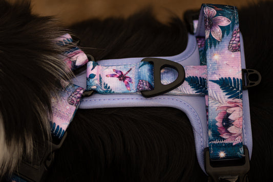 Enchanted Amazon Explor-Air Dog Harness (Pre-Order)