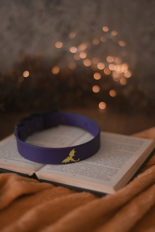 Winged Flight - Foil Embossed Explorer Collar