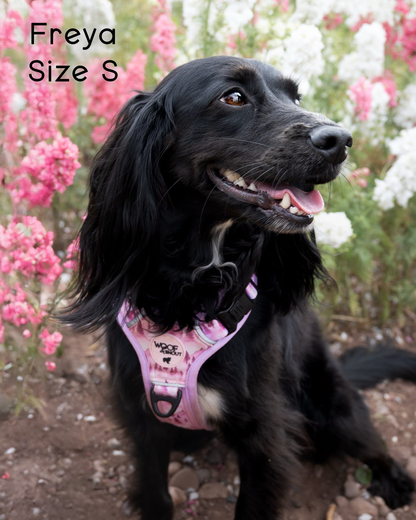 Pink Pines Explor-Air Dog Harness
