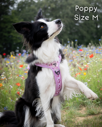 Pink Pines Explor-Air Dog Harness