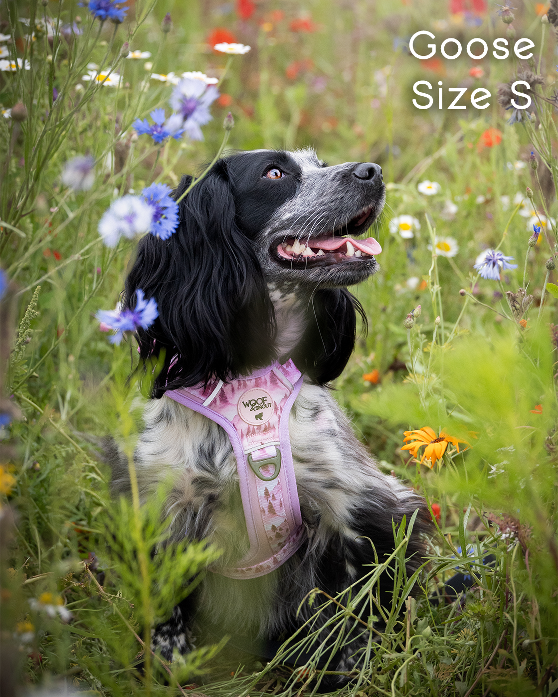 Pink Pines Explor-Air Dog Harness