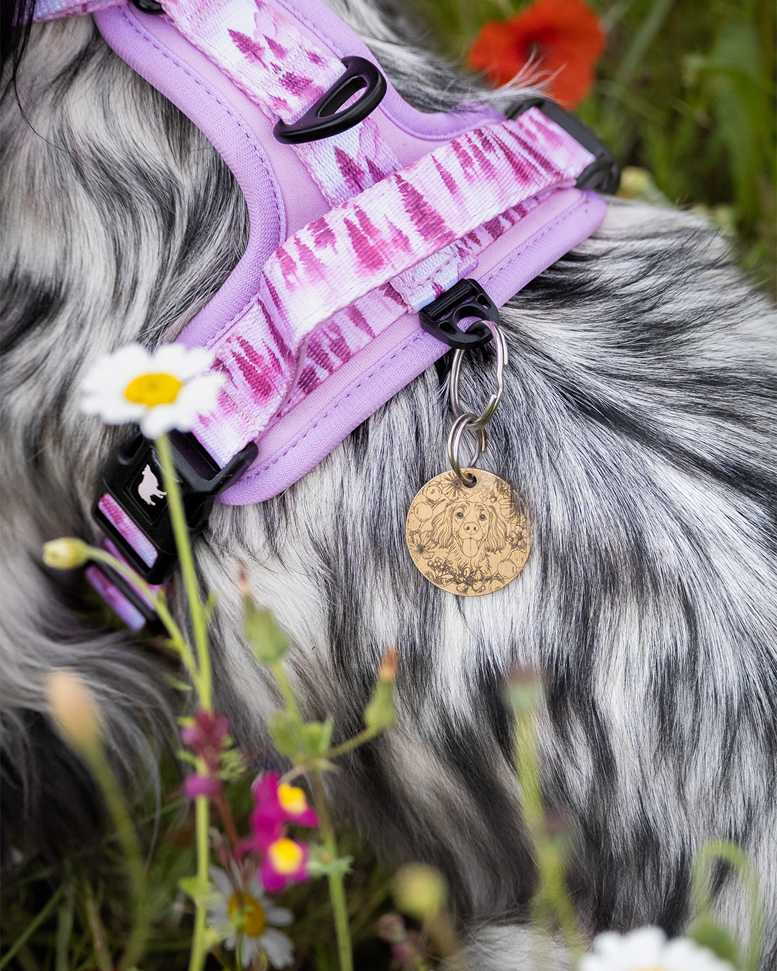 Pink Pines Explor-Air Dog Harness