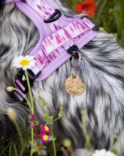 Pink Pines Explor-Air Dog Harness