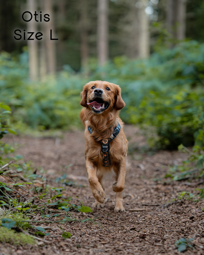 Ember Moors Explor-Air Dog Harness