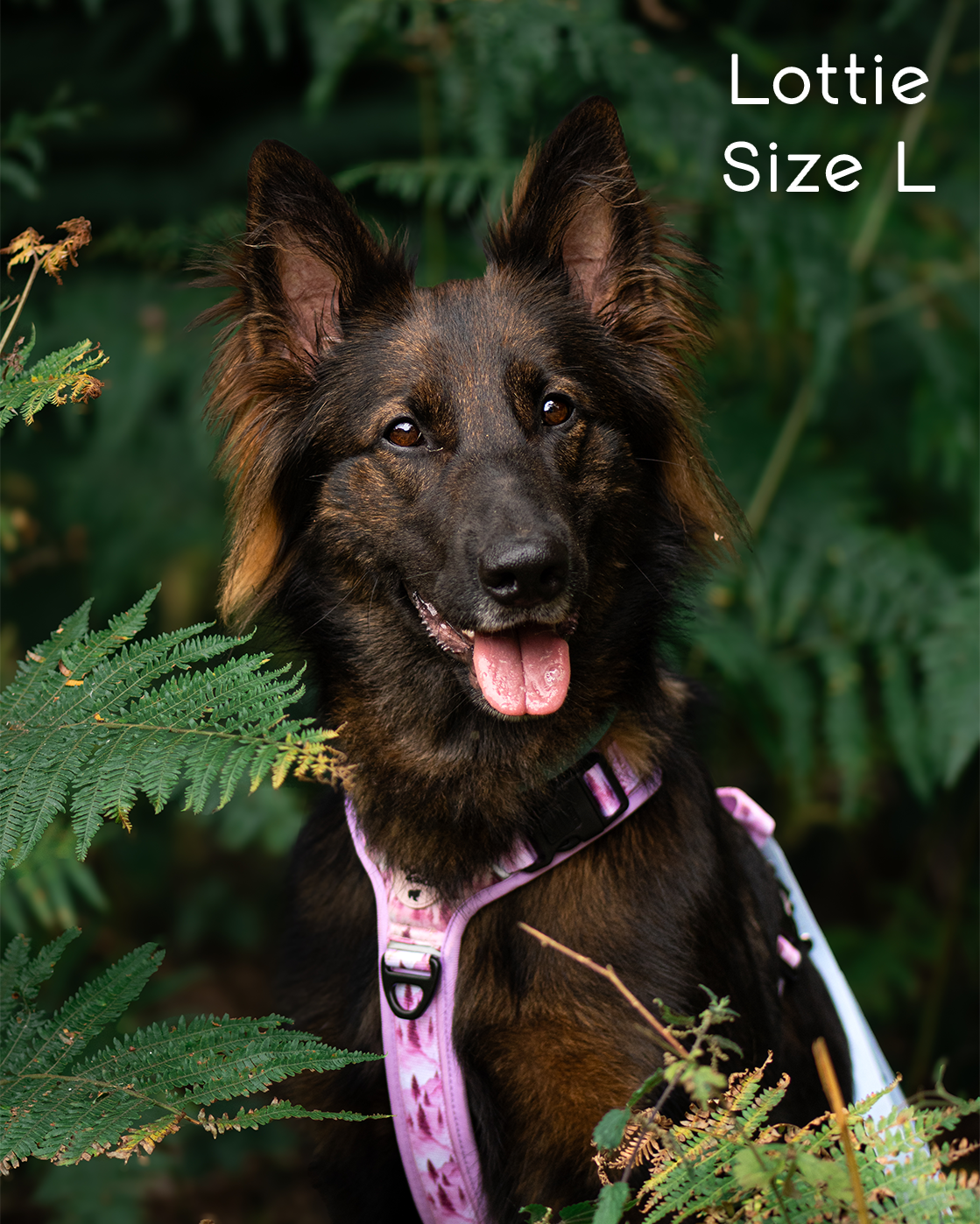 Pink Pines Explor-Air Dog Harness