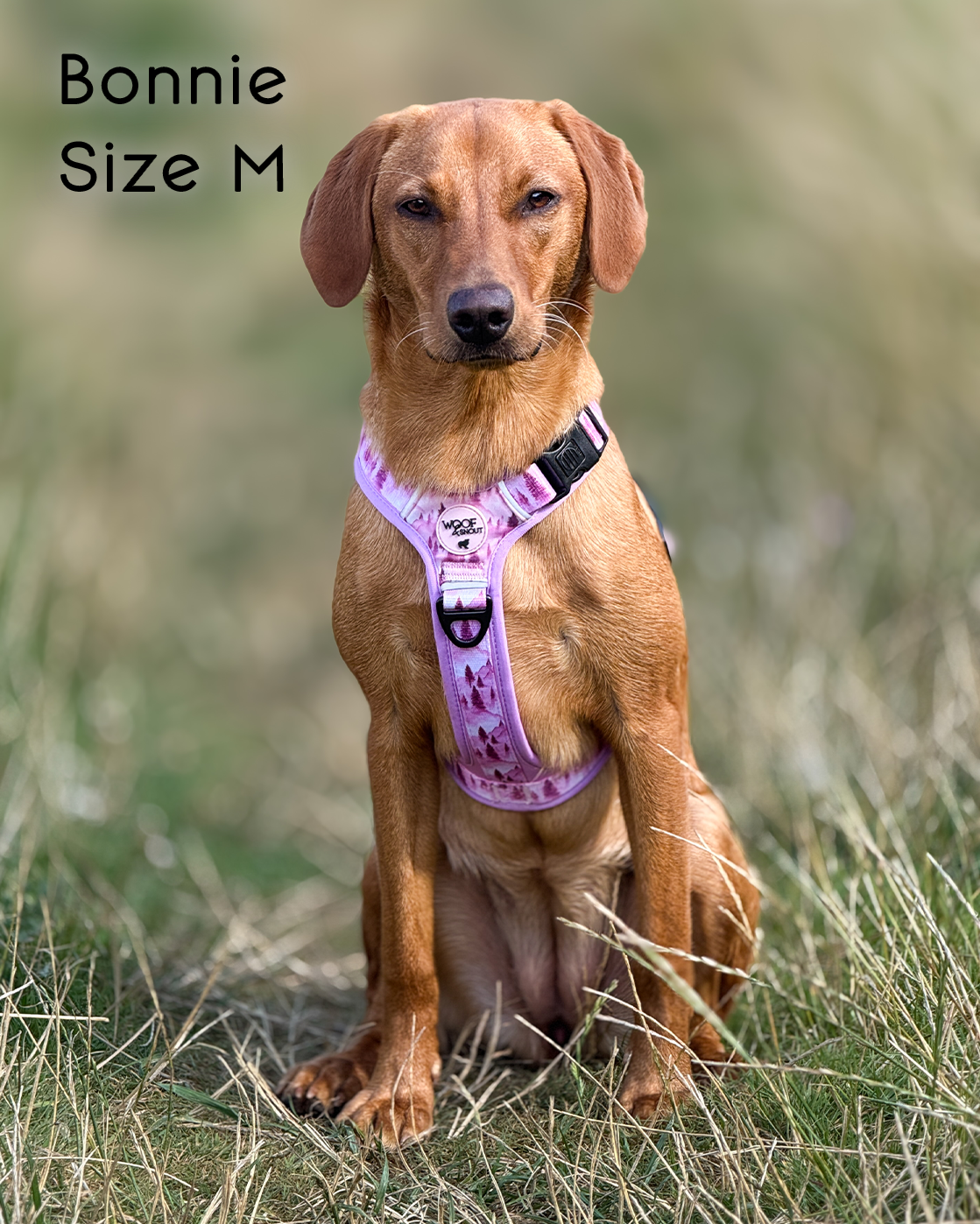 Pink Pines Explor-Air Dog Harness
