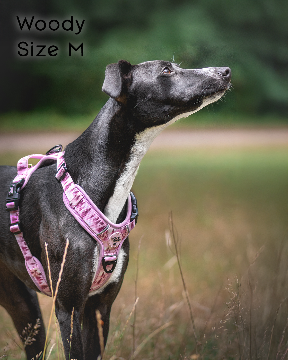 Pink Pines Explor-Air Dog Harness